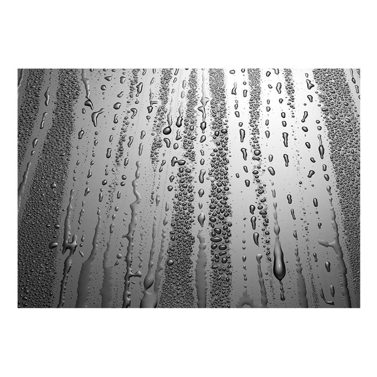 Papier peint intissé panoramique Summer drizzle gris / argent, EDEN