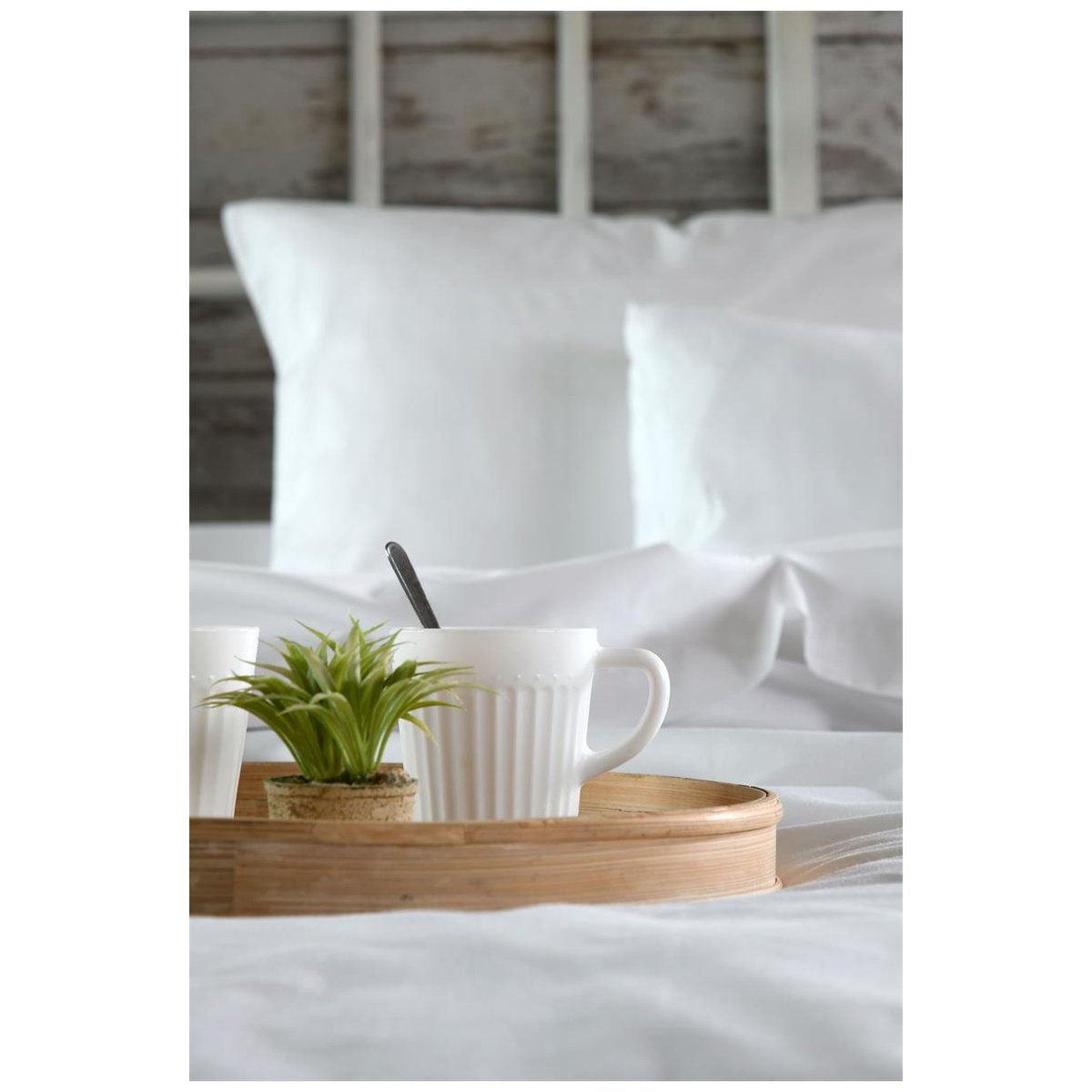 Drap housse percale en coton Nuage blanc, EDEN