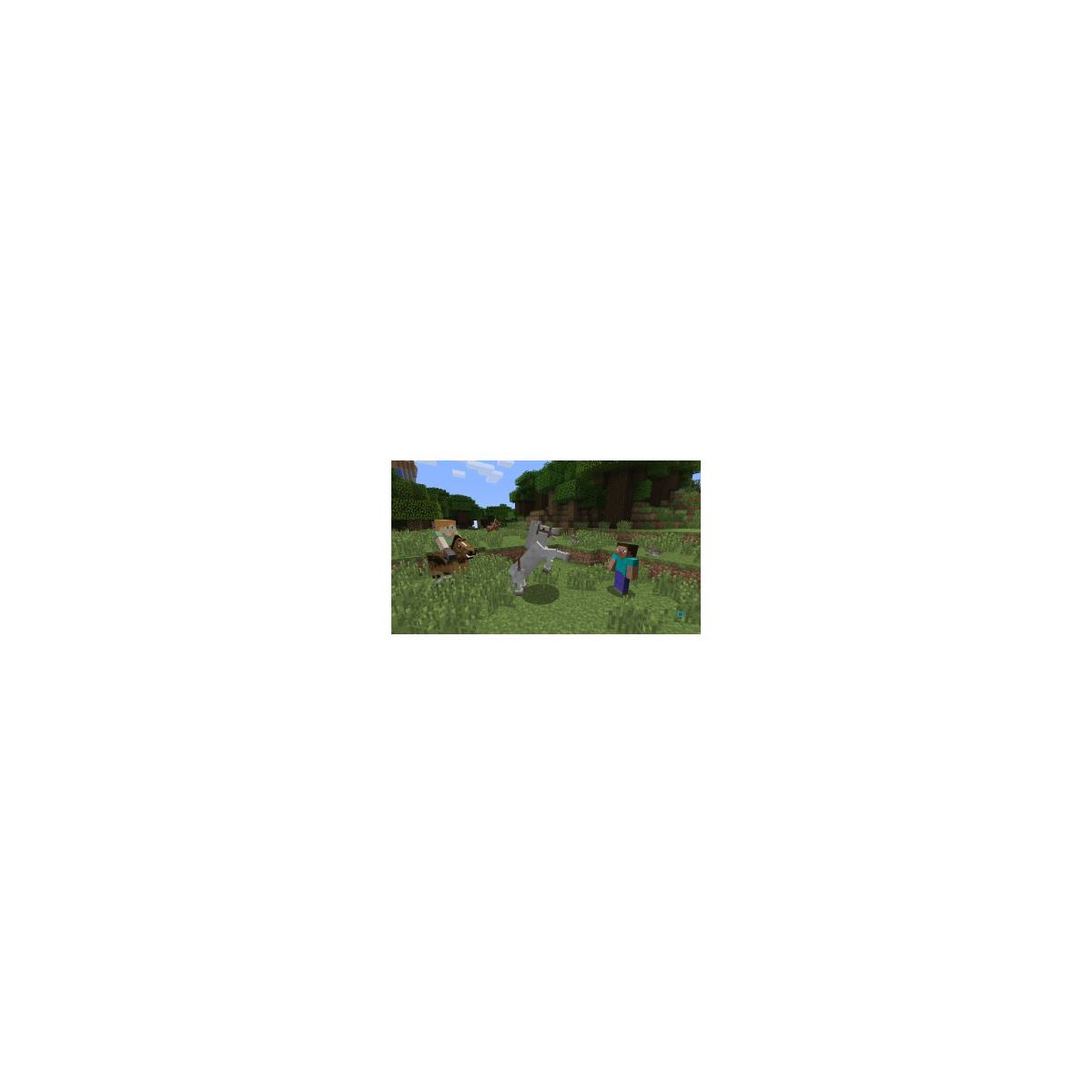 Jeu Switch Minecraft couleur unique, NINTENDO