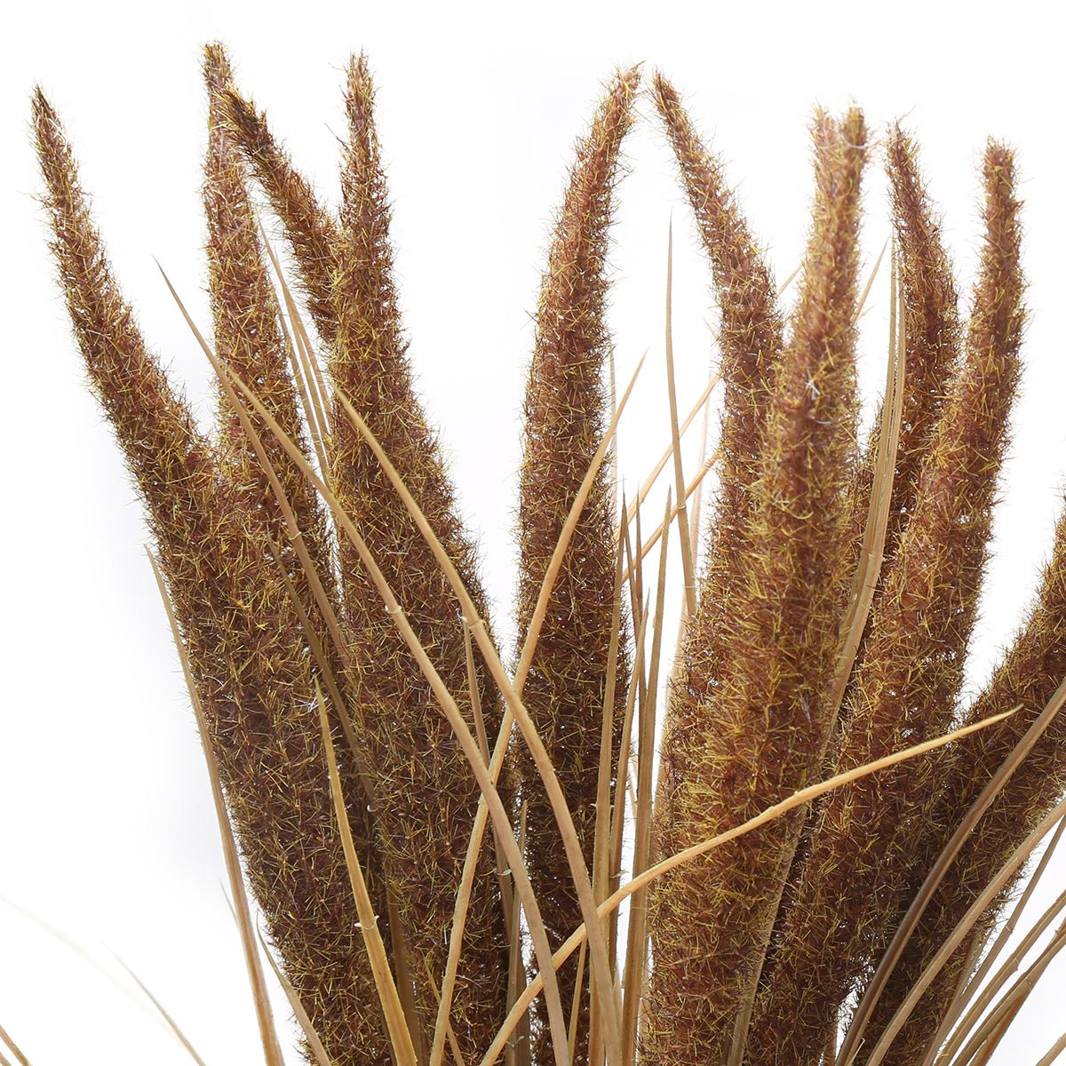 Bouquet de pampa 12 tiges artificielle H50 marron, SIA DECO