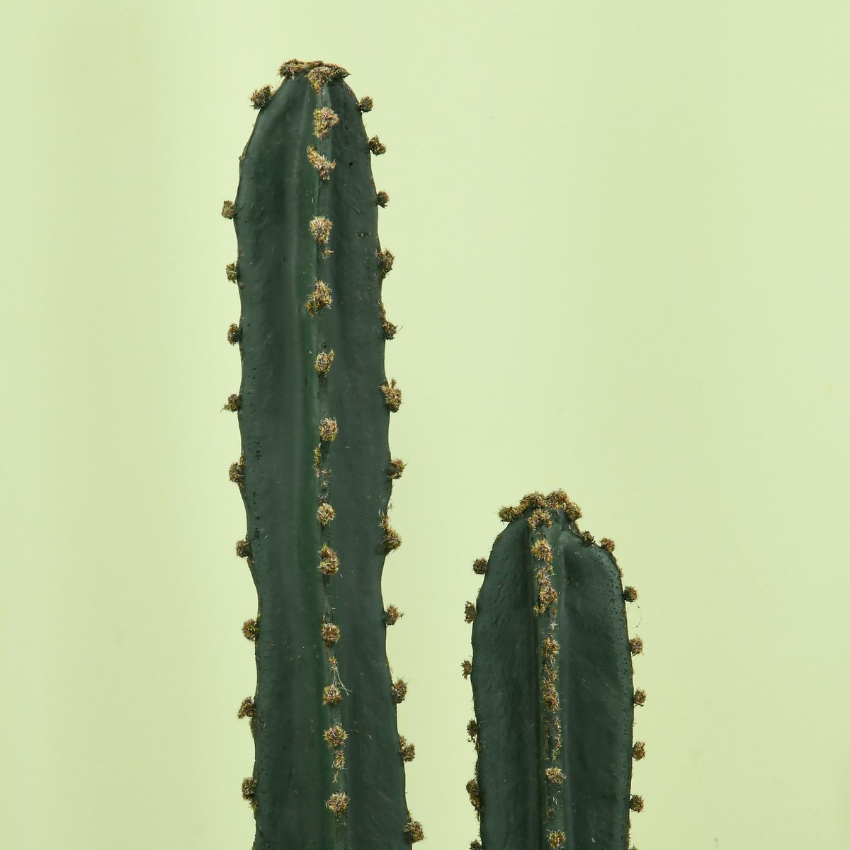 Plantes artificielles PE Vert vert, OUTSUNNY