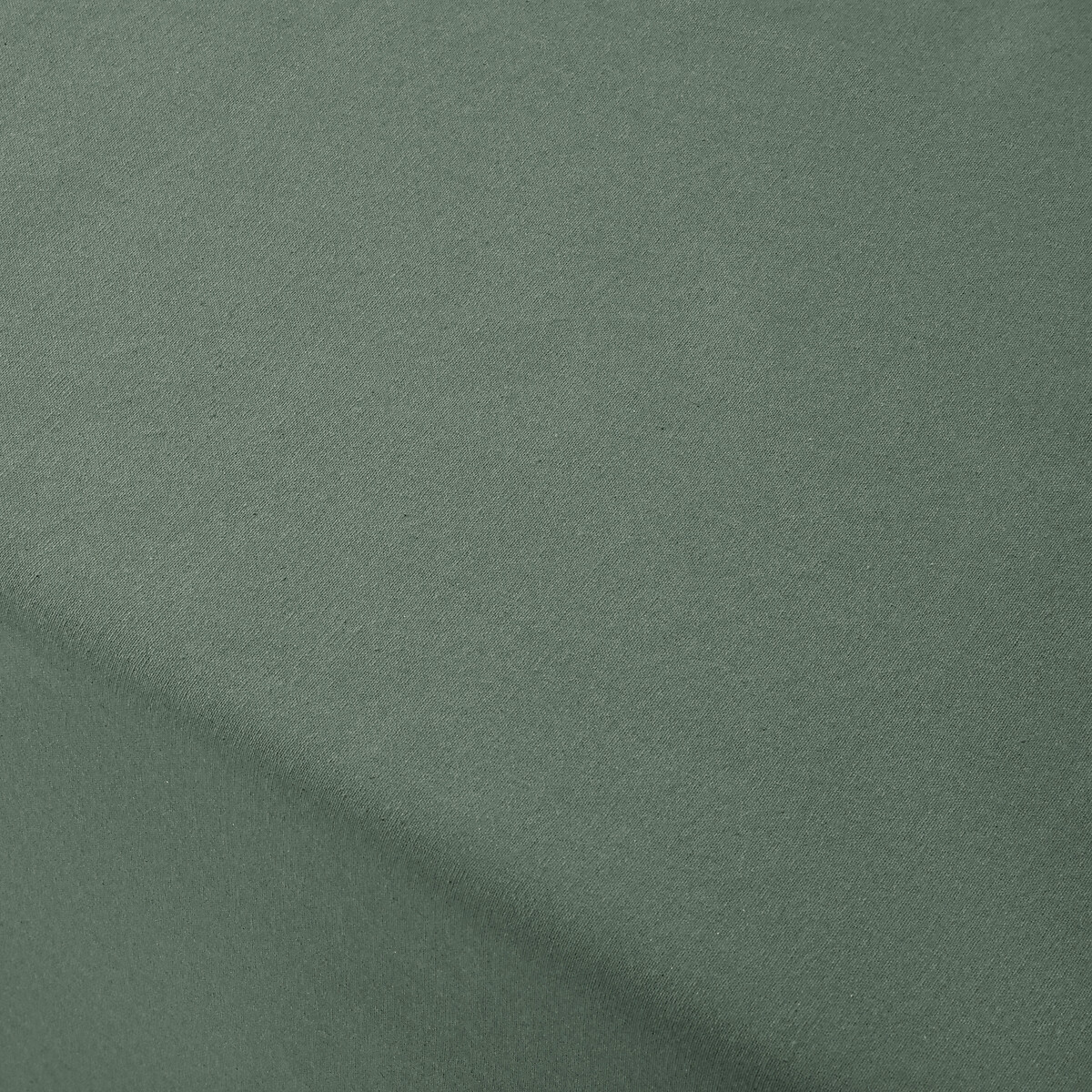 Nappe coton enduit souple, Scénario eucalyptus, LA REDOUTE INTERIEURS