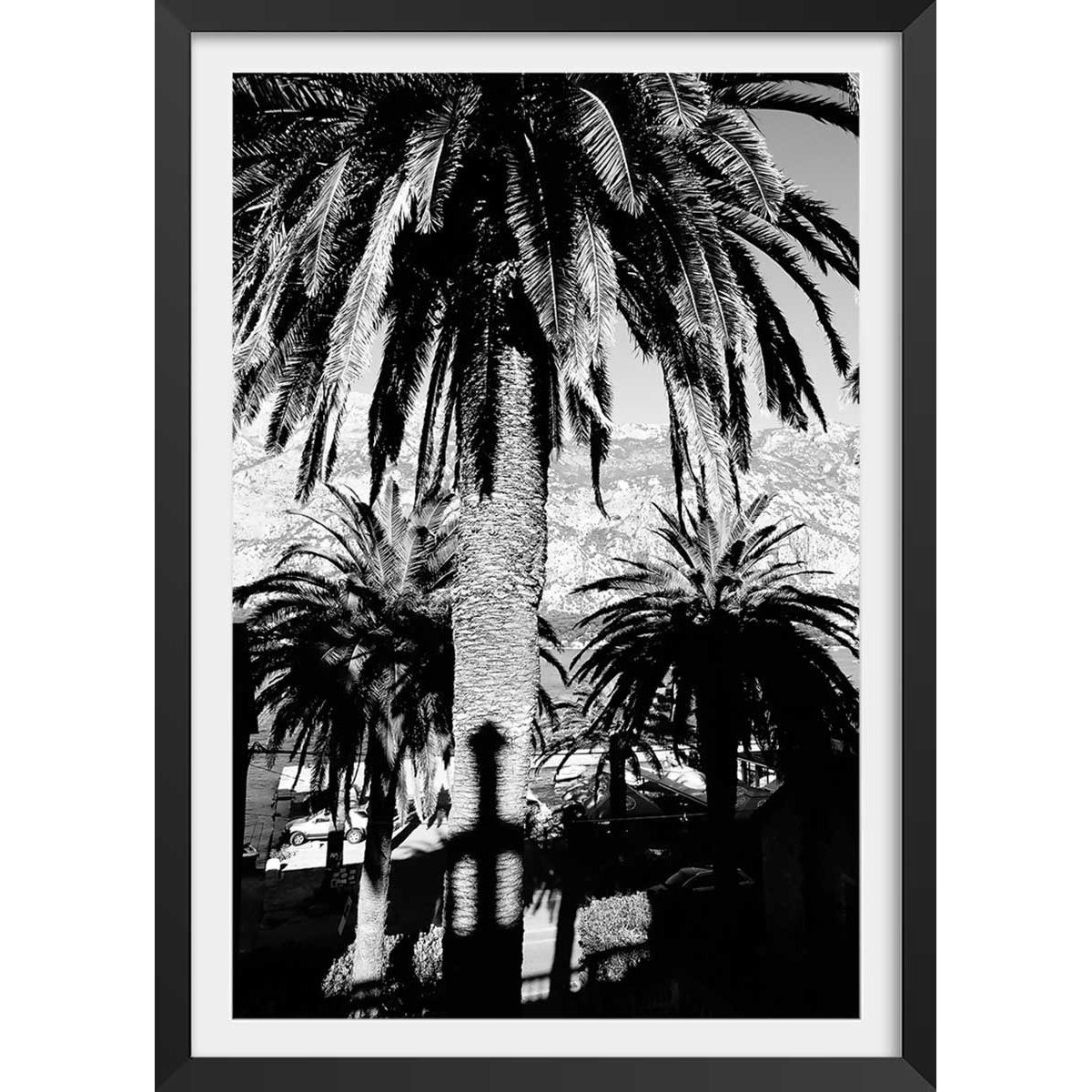 Affiche noir et blanc palmiers monténégro affiche + cadre en bois - noir, HEXOA
