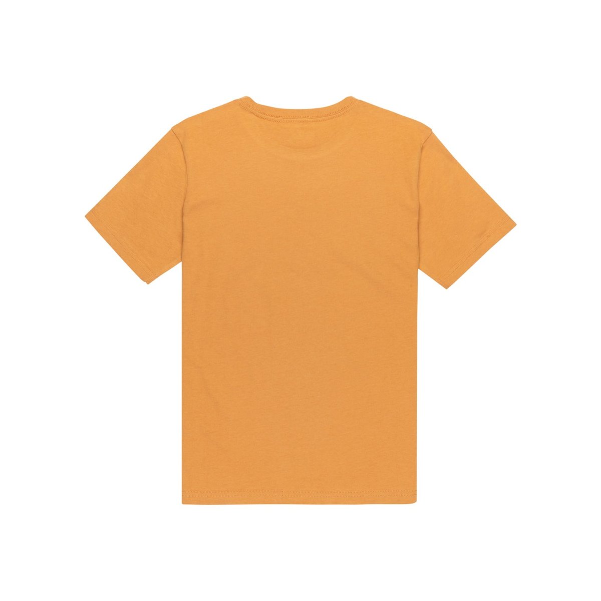 T-shirt à manches courtes EV LIGHT WAVES marron almond, QUIKSILVER