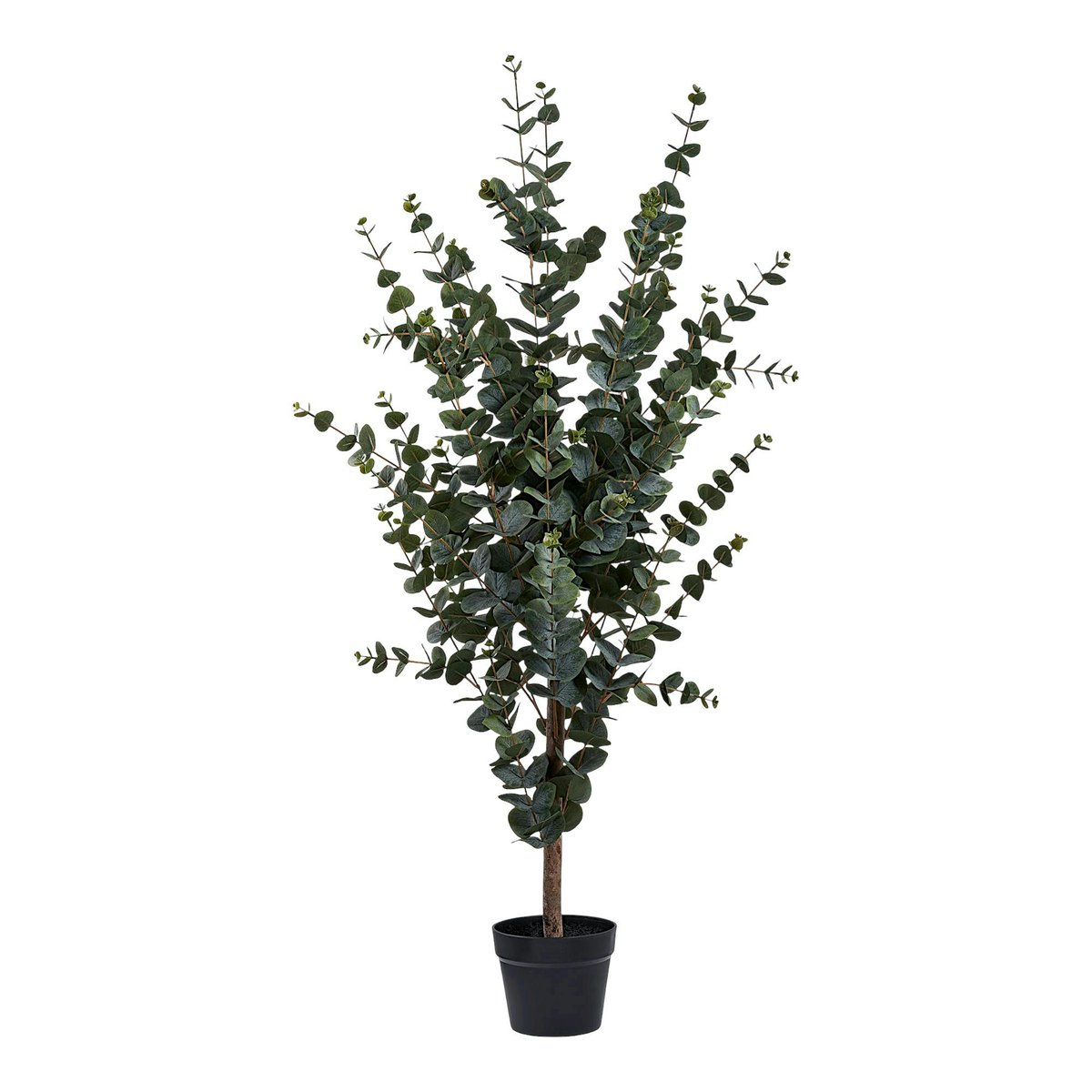 Eucalyptus artificiel en pot vert, PIER IMPORT