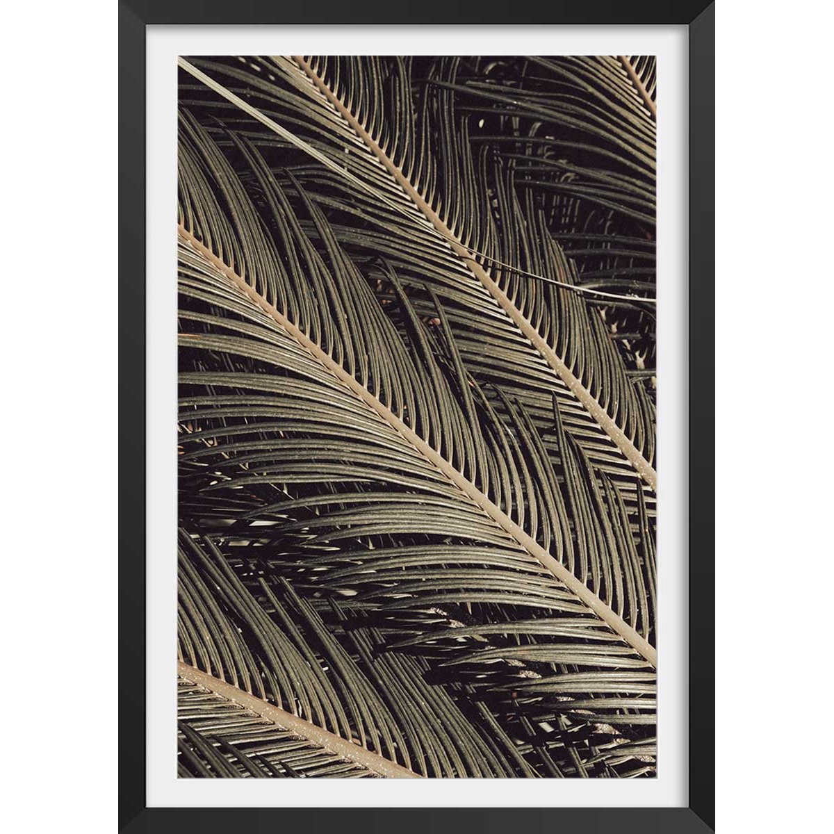 Poster palm island affiche + cadre en bois - noir, HEXOA
