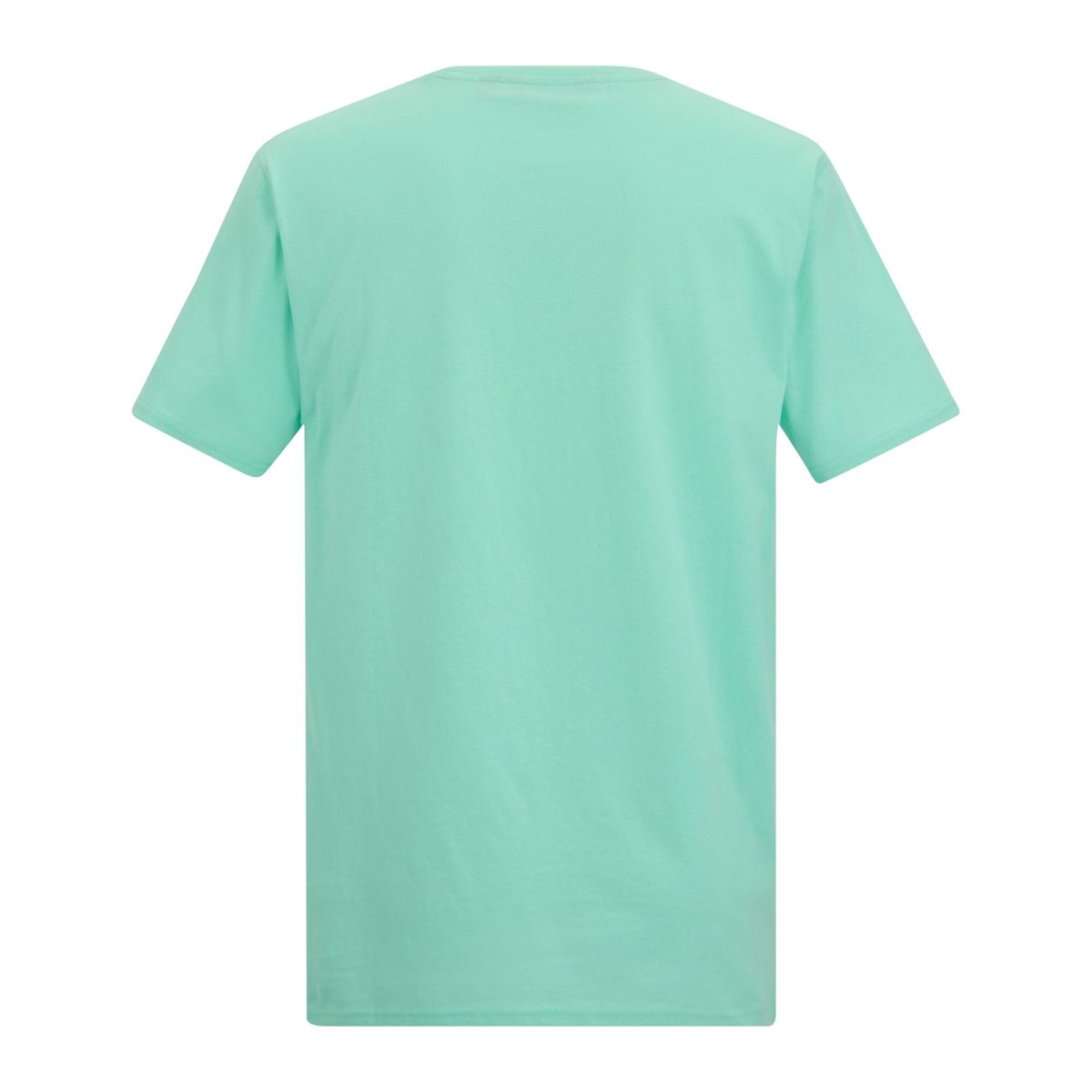 T-shirt motif/style mer et vague CLINE turquoise pâle, REGATTA