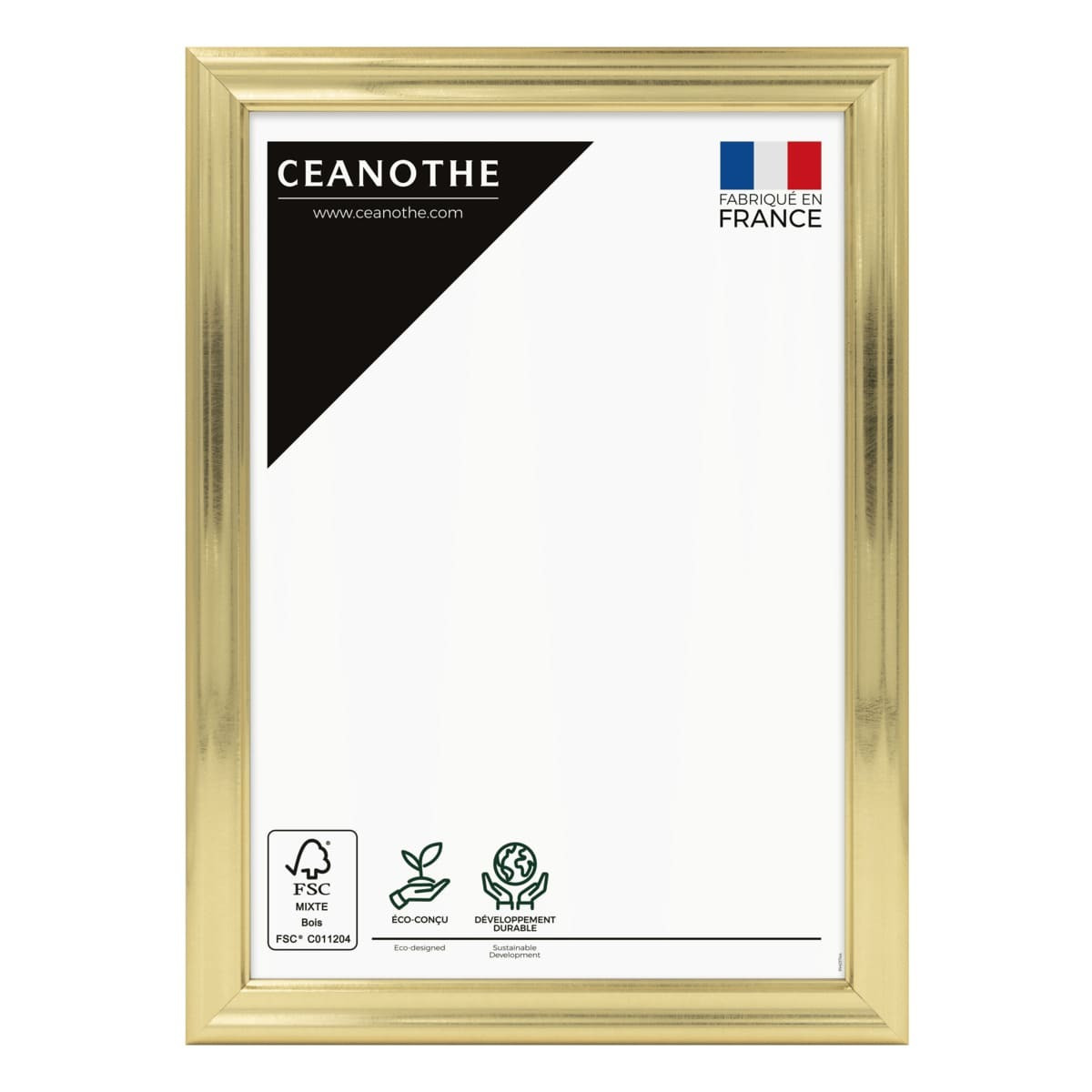Cadre Photo En Résine Recyclée JULIA doré, CEANOTHE
