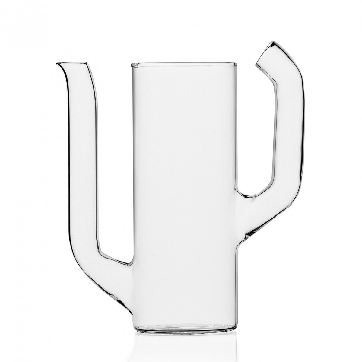 Carafe Cactus 2 transparent, ICHENDORF