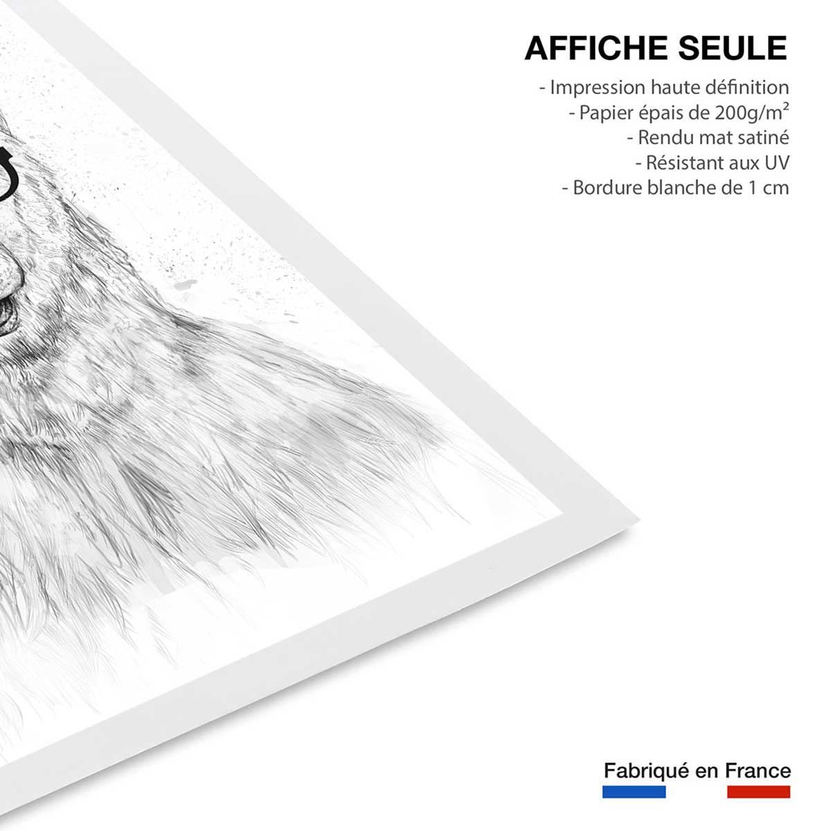 Affiche enfant ours etudiant affiche seule, HEXOA