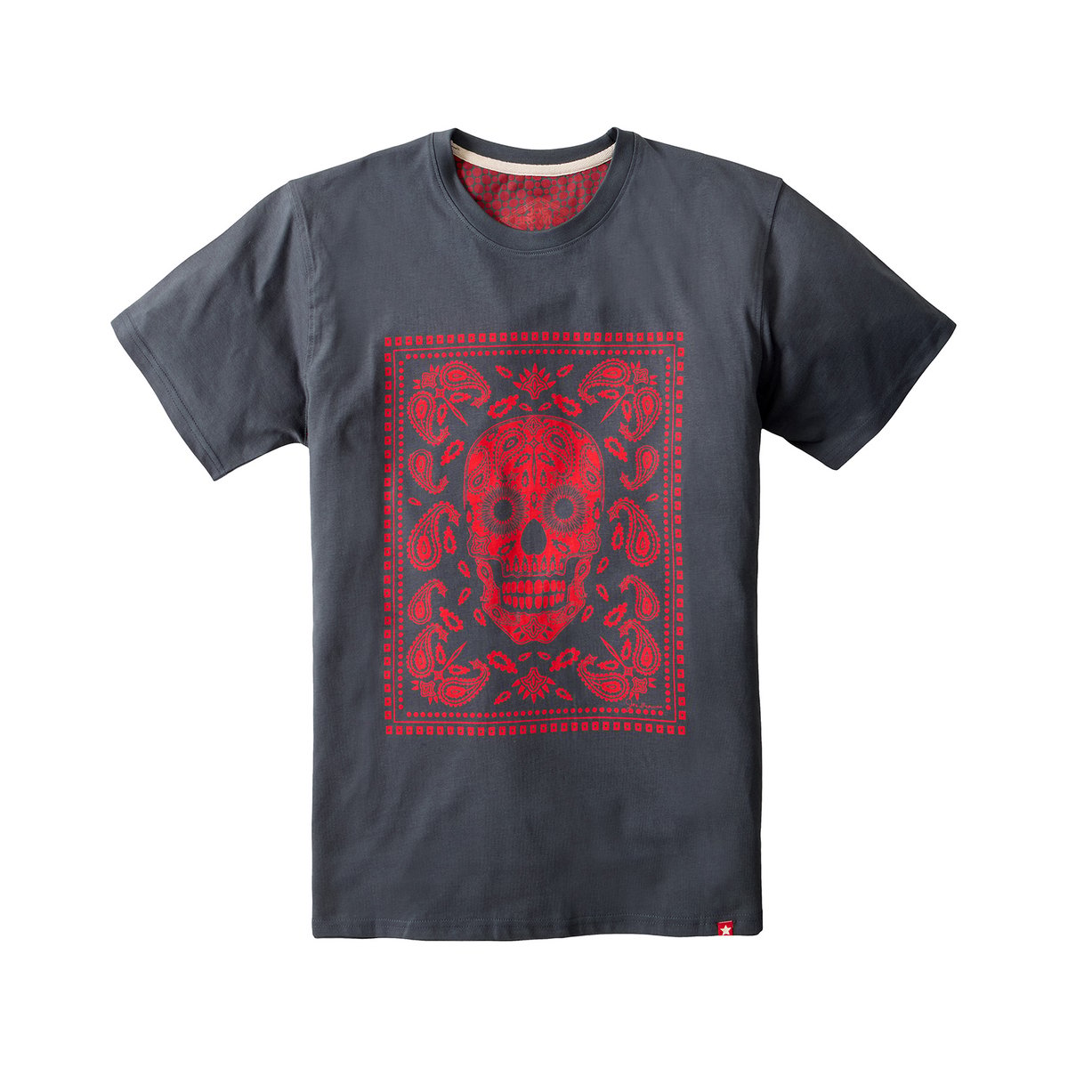 T-Shirt Tête de Mort à Écharpe gris, JOE BROWNS