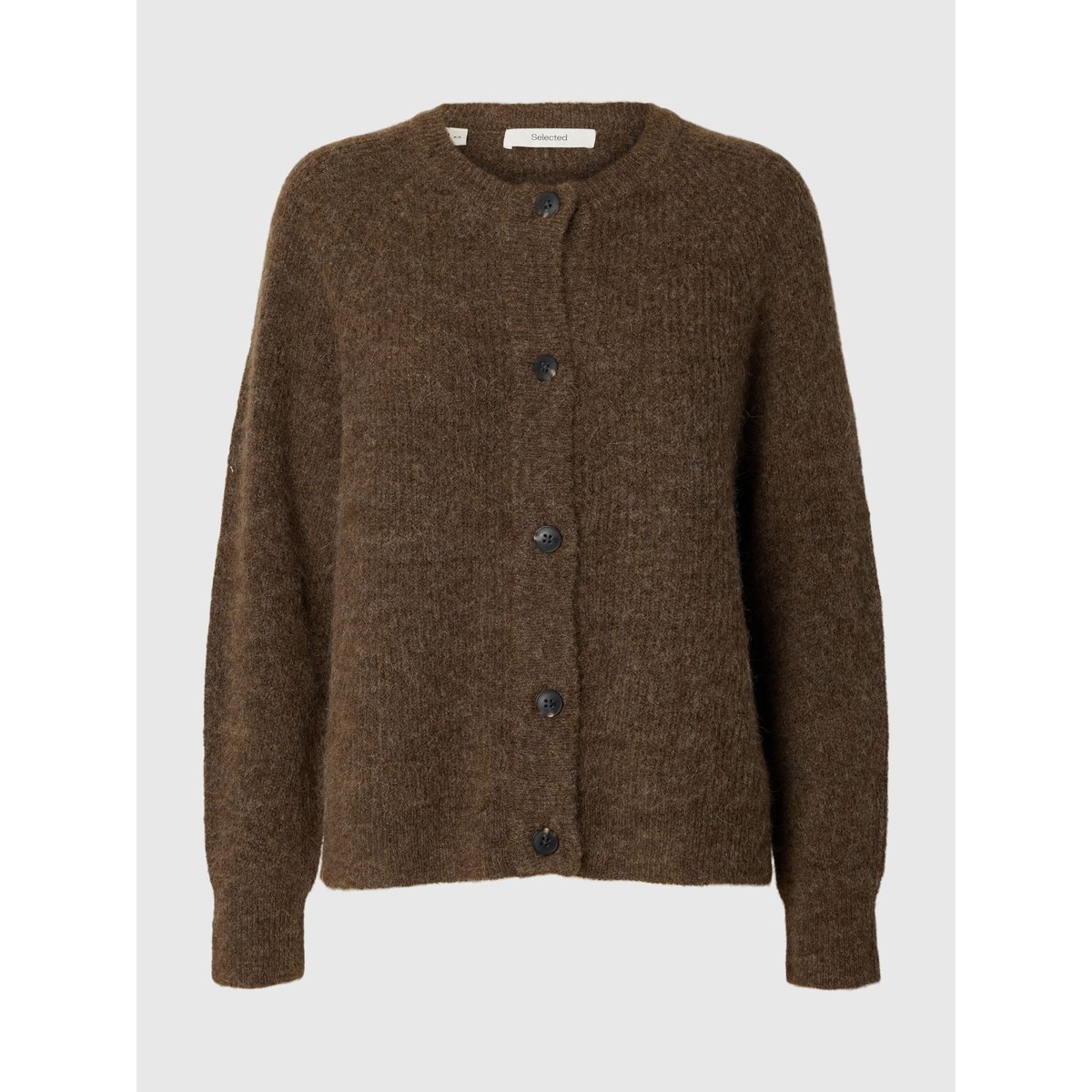 Cardigan dachshund, SELECTED