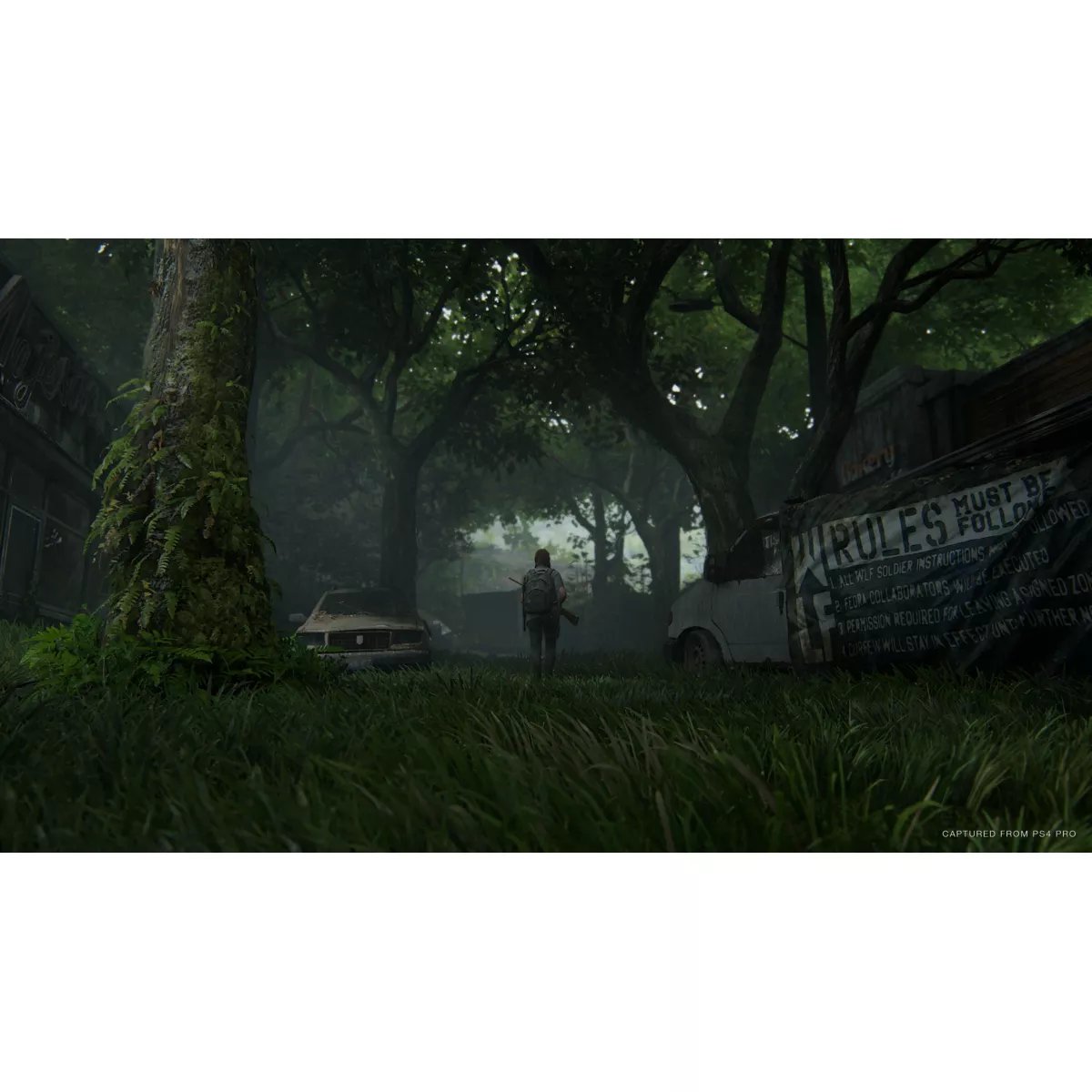 Jeu Ps4 The Last Of Us 2 couleur unique, SONY