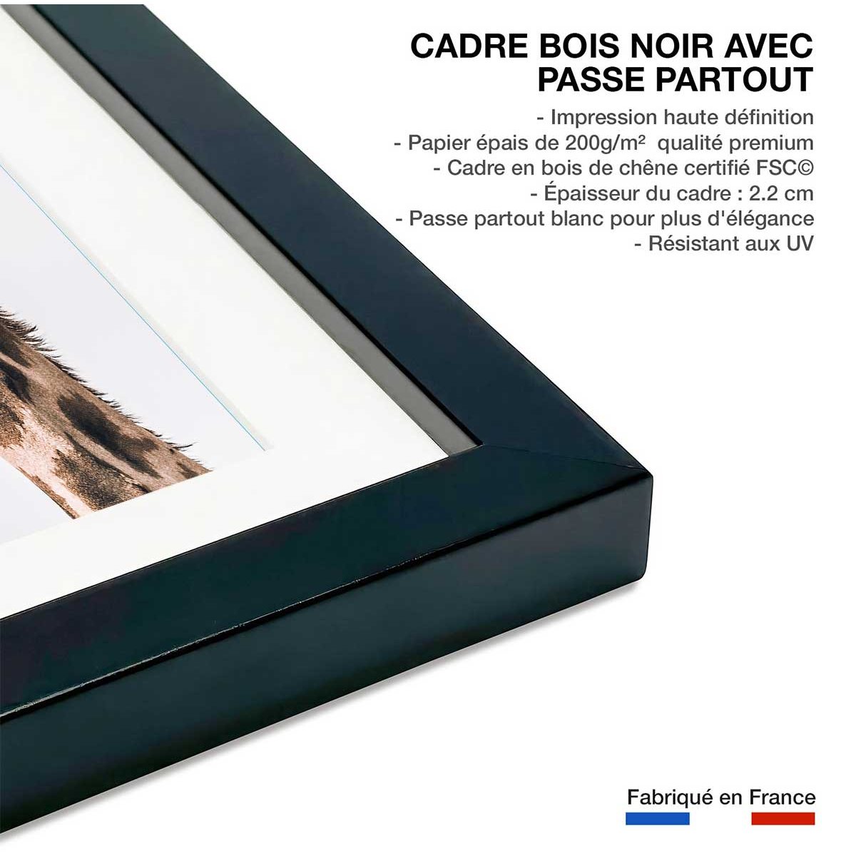Affiche animaux prendre de la hauteur affiche + cadre en bois - noir, HEXOA