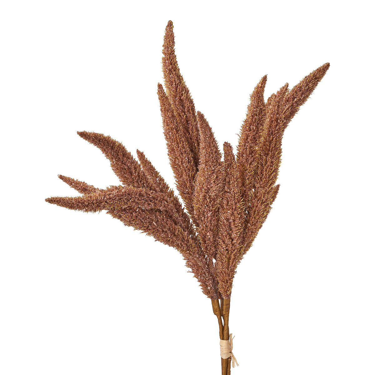 Set of 6 63cm Mulberry Brown Foxtail Hand-Tied 3 Stem Bundles brown              , ÉDITÉ