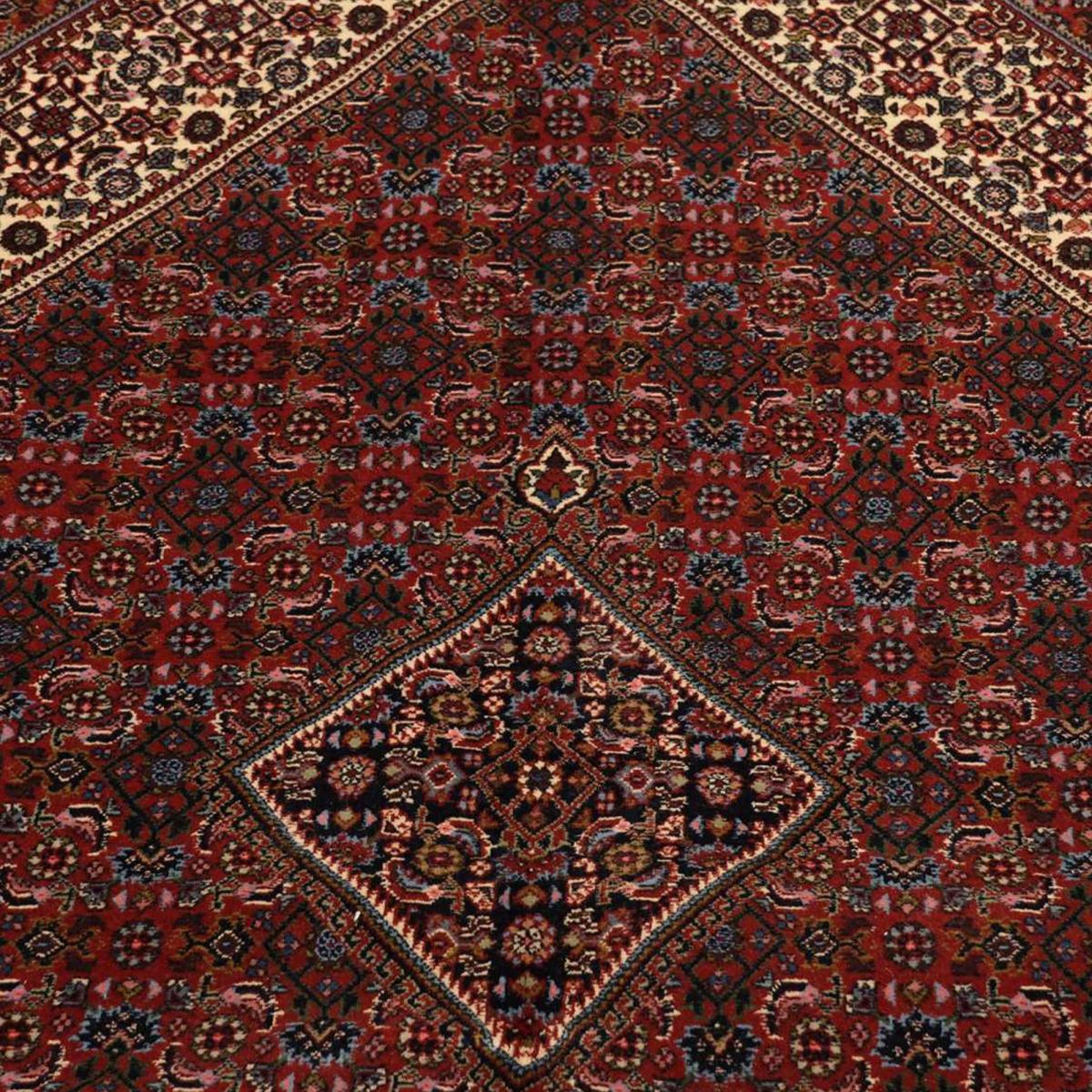 Tapis d'orient, motif oriental, noué main en laine, BIDJAR 3 rouge, bleu, crème, UN AMOUR DE TAPIS