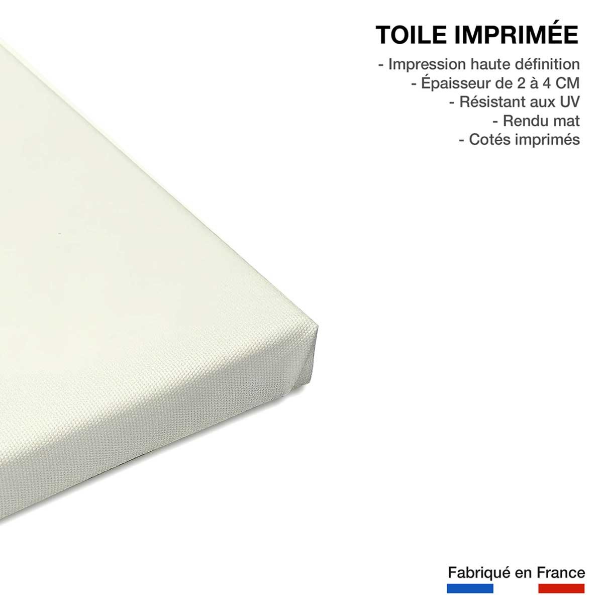 Tableau baleine ballon toile imprimée, HEXOA