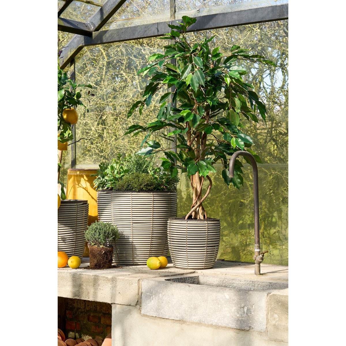Plante artificielle FICUS vert, MICA DECORATIONS