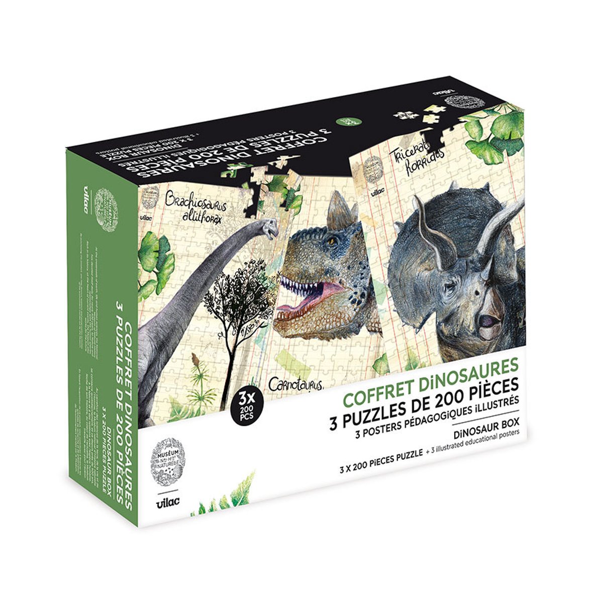 Coffret 3 puzzles dinosaures et posters beige, VILAC