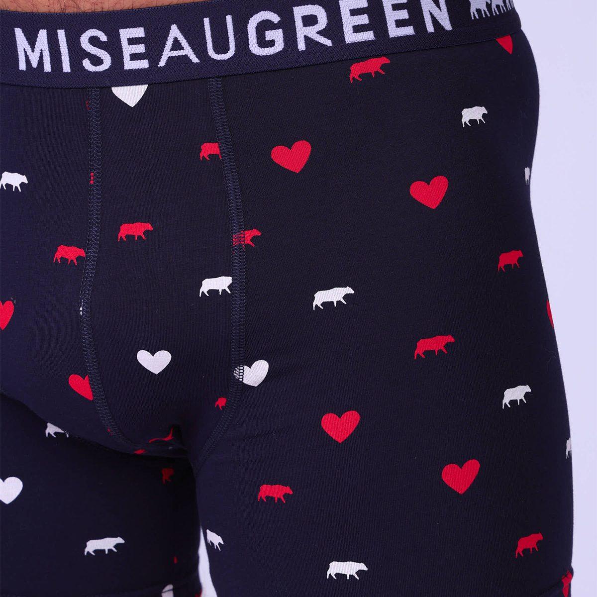 Boxer vaches et cœurs rouge, MISE AU GREEN