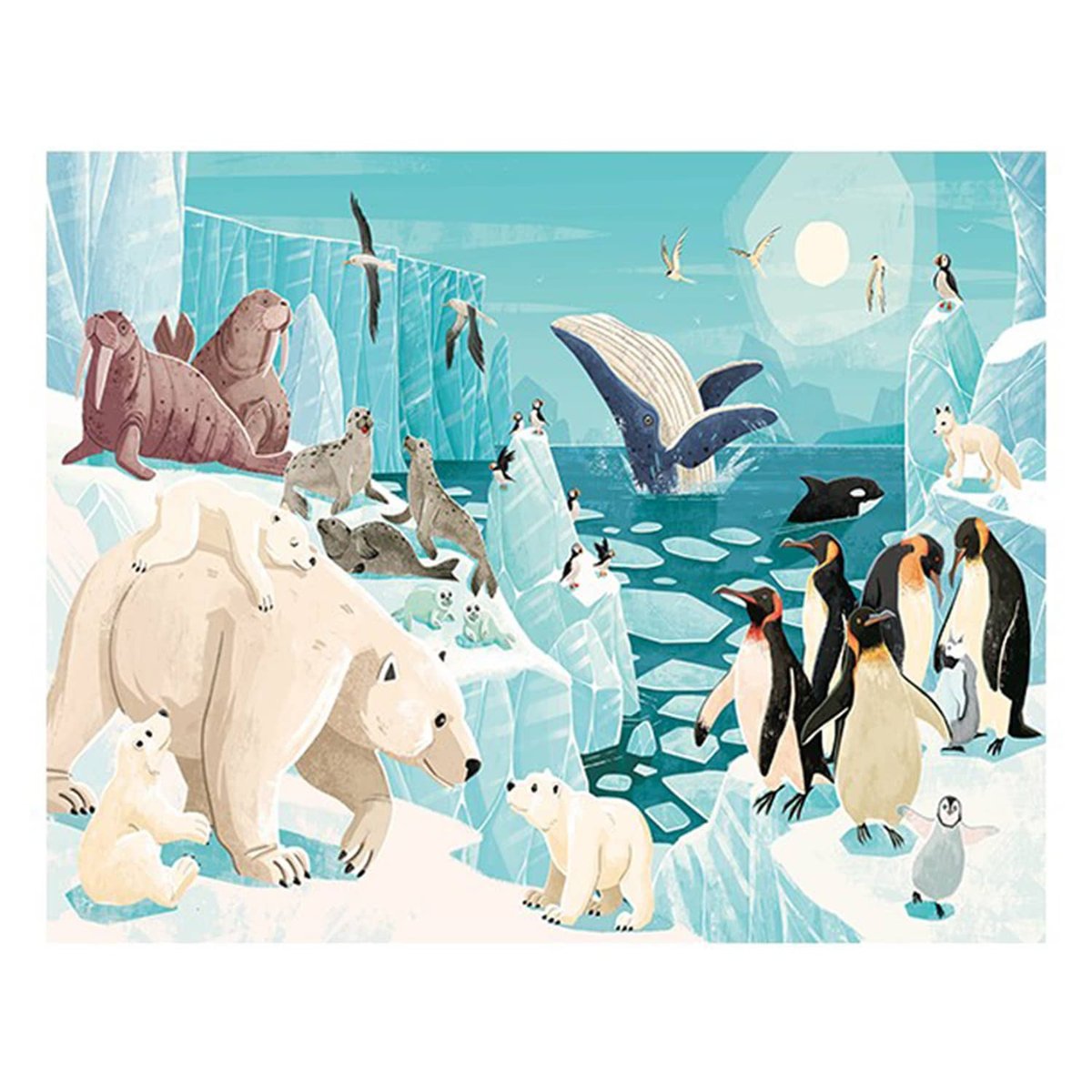 Puzzle & Livre - La Planète en Danger, Les glaces multicolore, SASSI