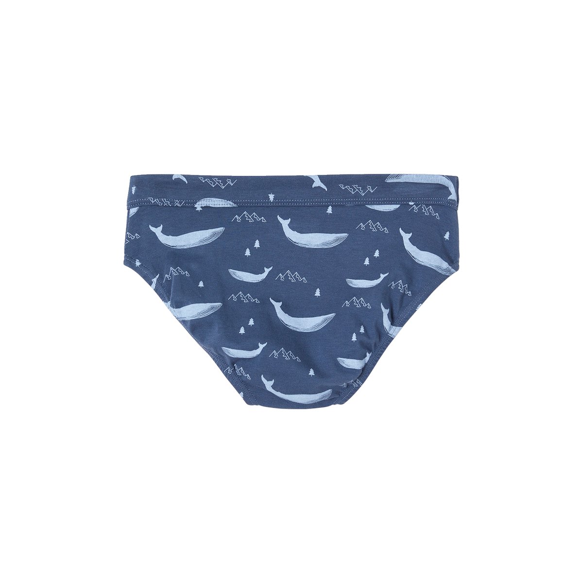 Lot de 7 slips stretch baleines en coton bio bleu ciel, VERTBAUDET