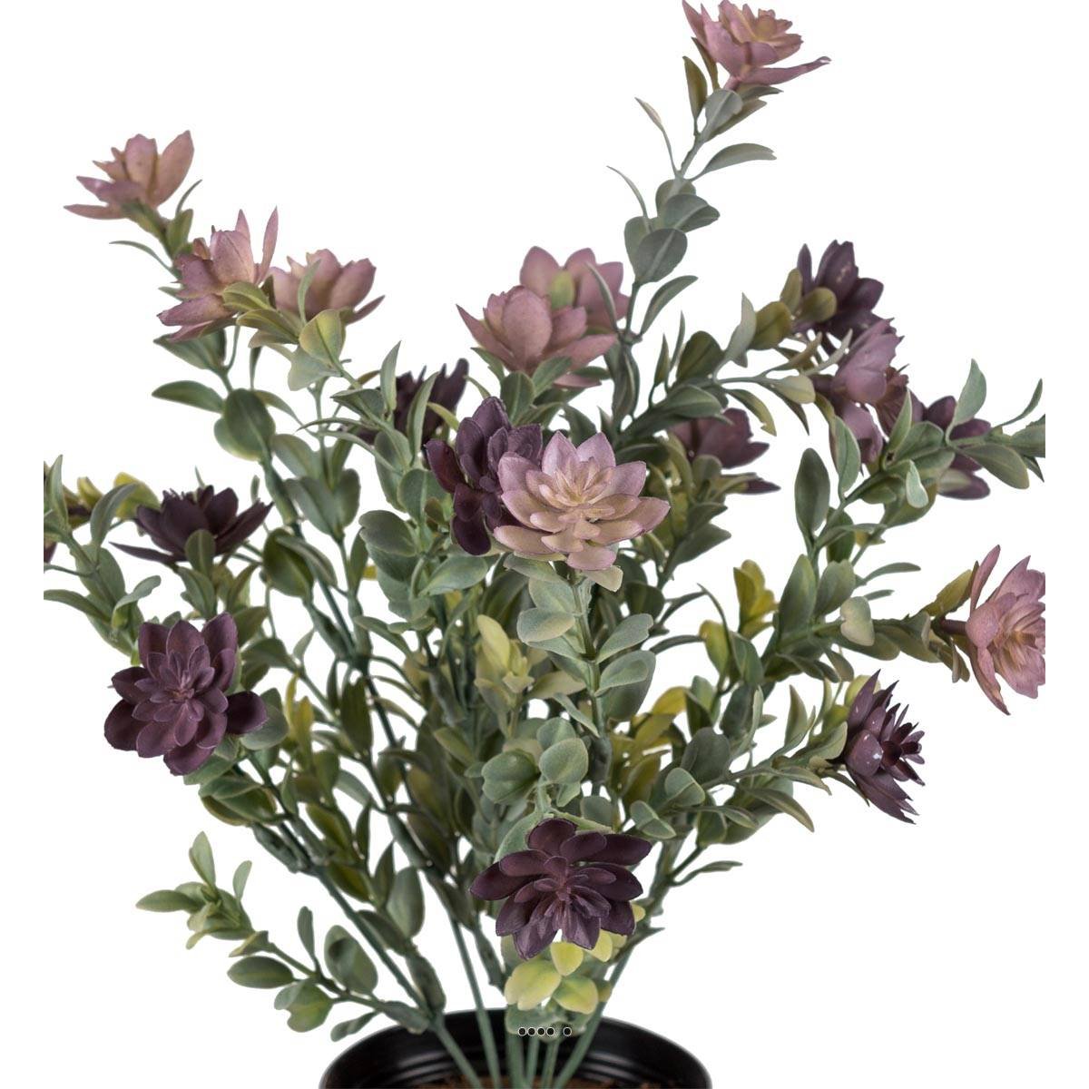 Succulente fleurie factice en pot cactée Vio v002236, ARTIFICIELLES