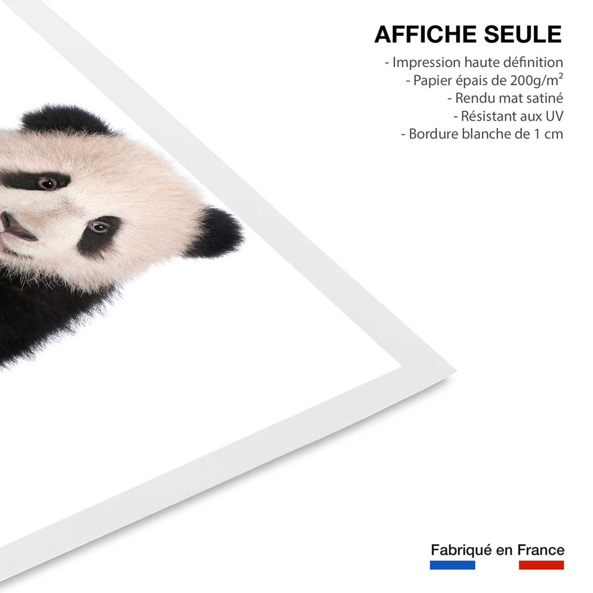 Affiche enfant bébé panda affiche seule, HEXOA