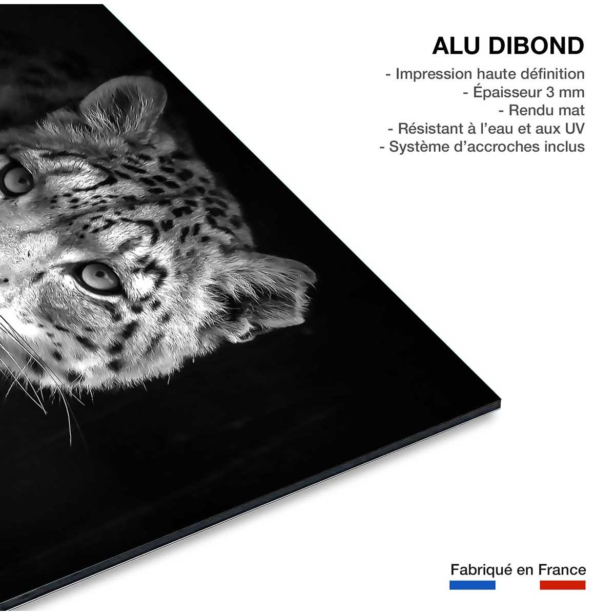 Tableau animaux le regard du léopard tableau alu dibond, HEXOA