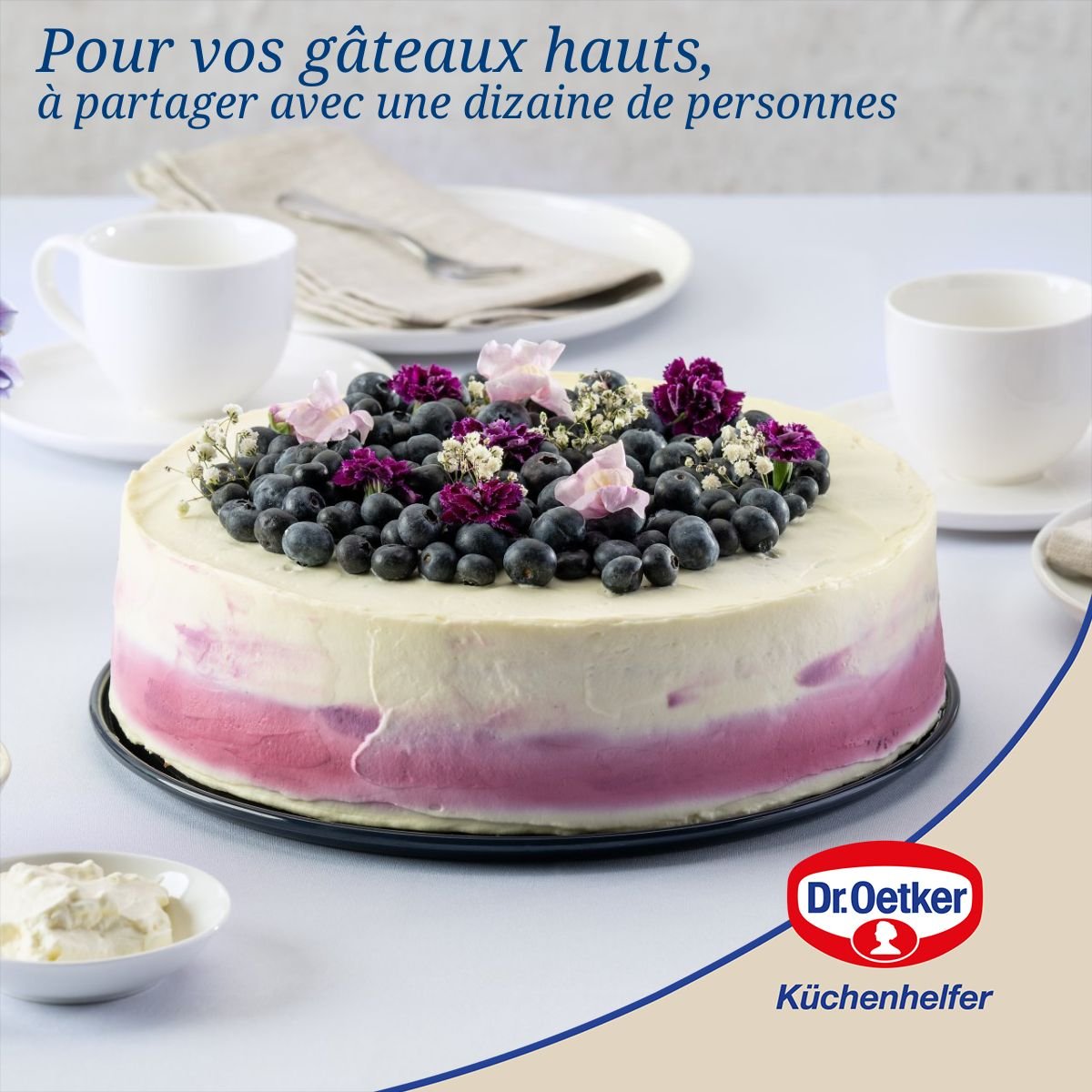 Lot de 2 moules à gâteaux 28/28 cm en acier BACK-LIEBE bleu, DR OETKER