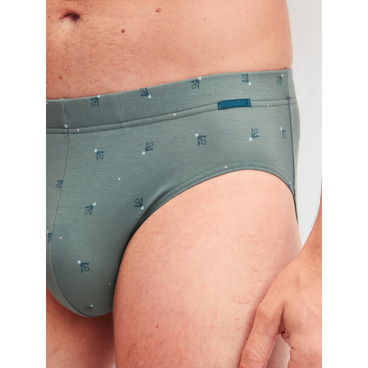 Slip Coton GRAFIC COTTON vert laurier, CALIDA