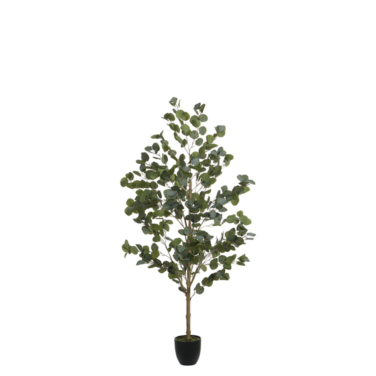 Eucalyptus en pot artificiel H150 vert, SIA DECO