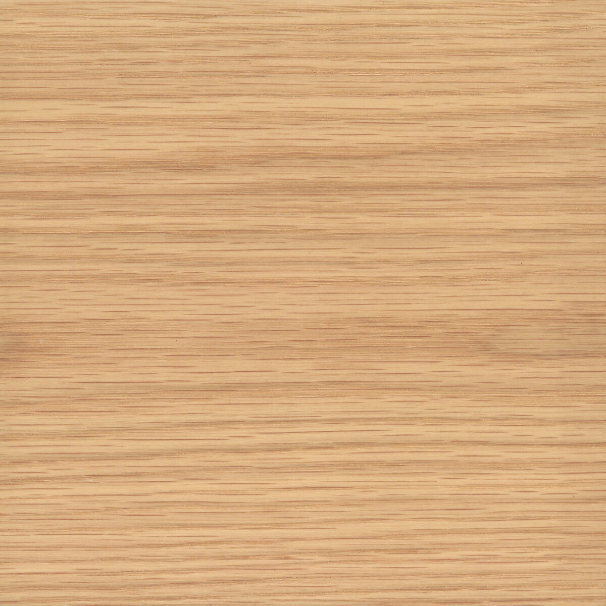Johanez Wardrobe Shelf L110cm with Oak Veneer natural oak, AM.PM