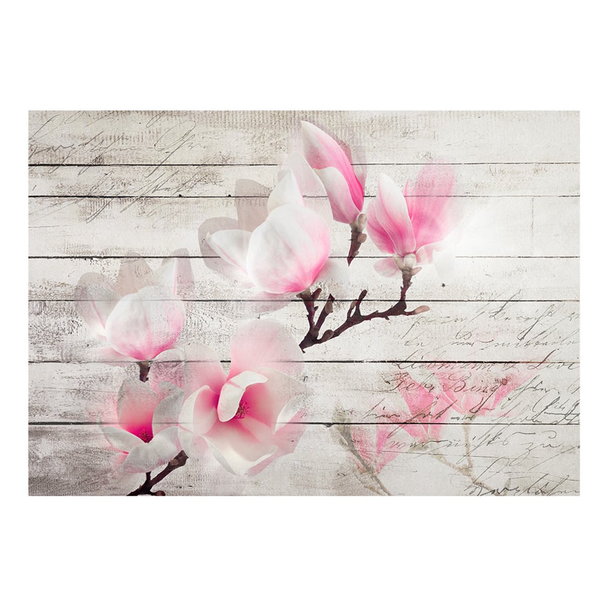 Papier peint intissé panoramique Fleurs Gentleness of the Magnolia blanc, EDEN