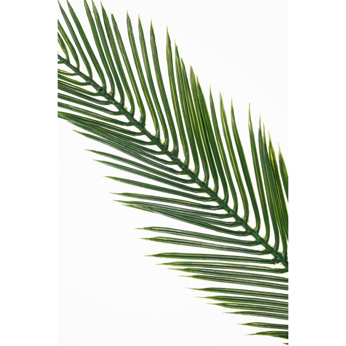 Plante artificielle CYCAS vert, MICA DECORATIONS