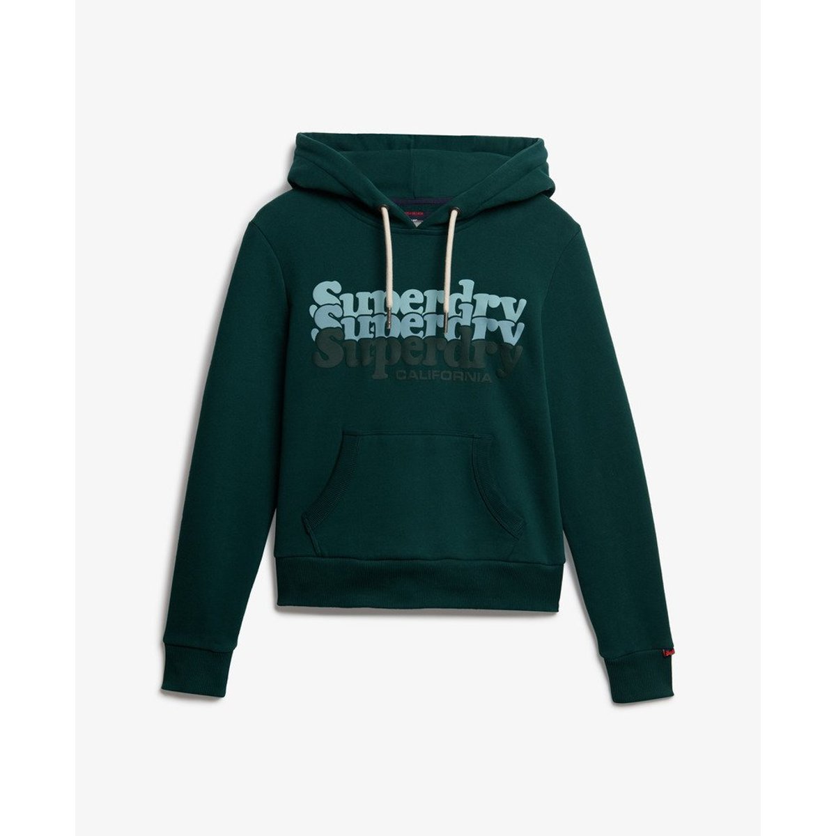 Sweat à capuche Stacked vert pinède foncé, SUPERDRY