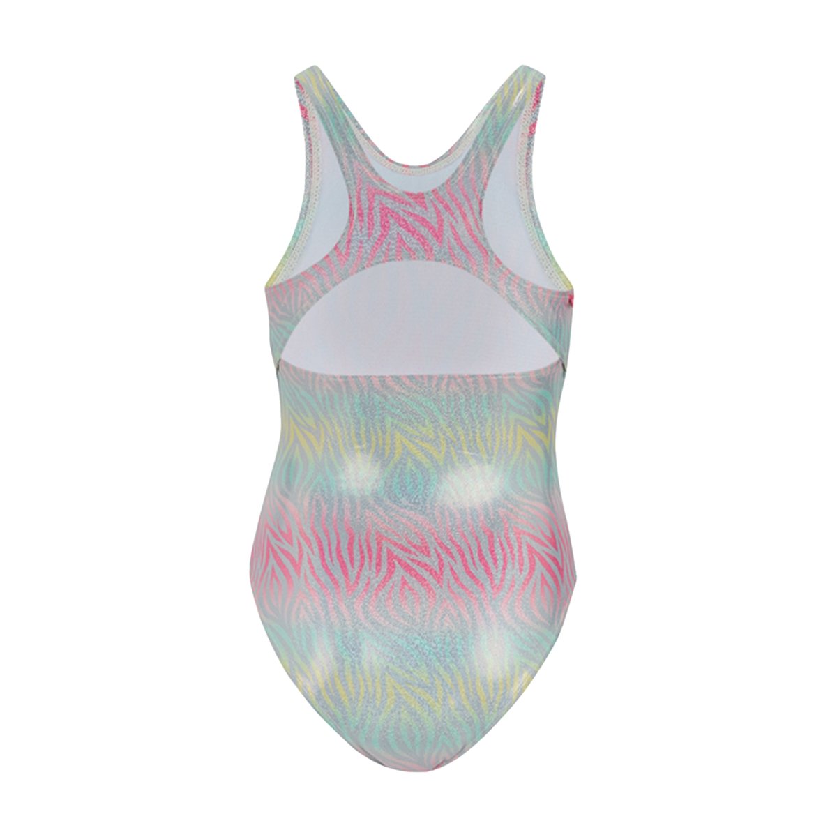 Maillot de bain 1 pièce motif/style imprimé zèbre KATRISSE ombré, REGATTA