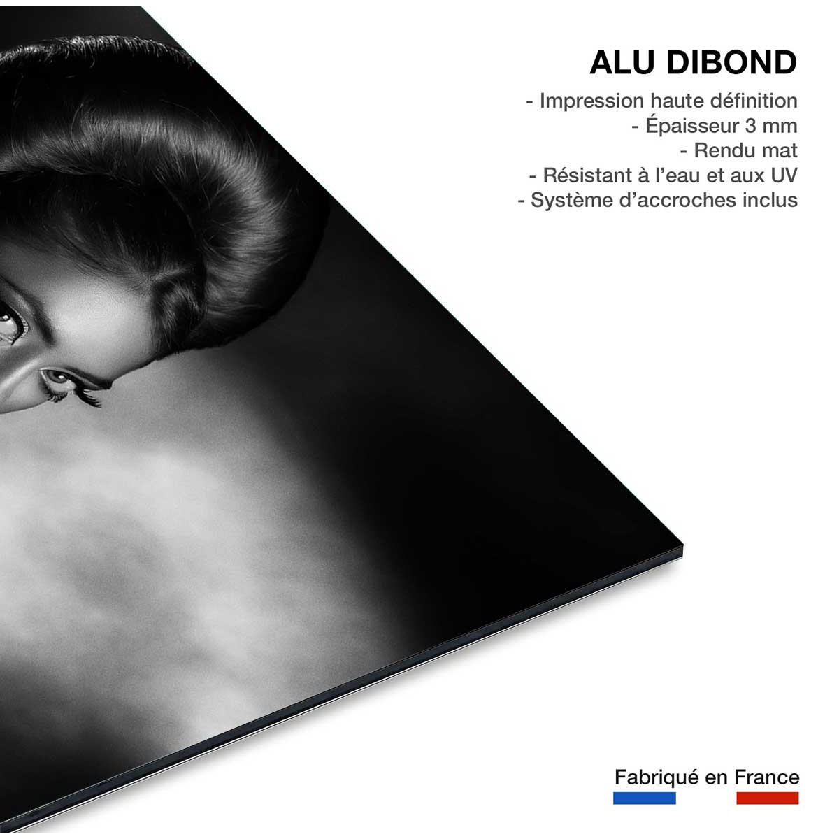 Tableau noir et blanc Lady tableau alu dibond, HEXOA