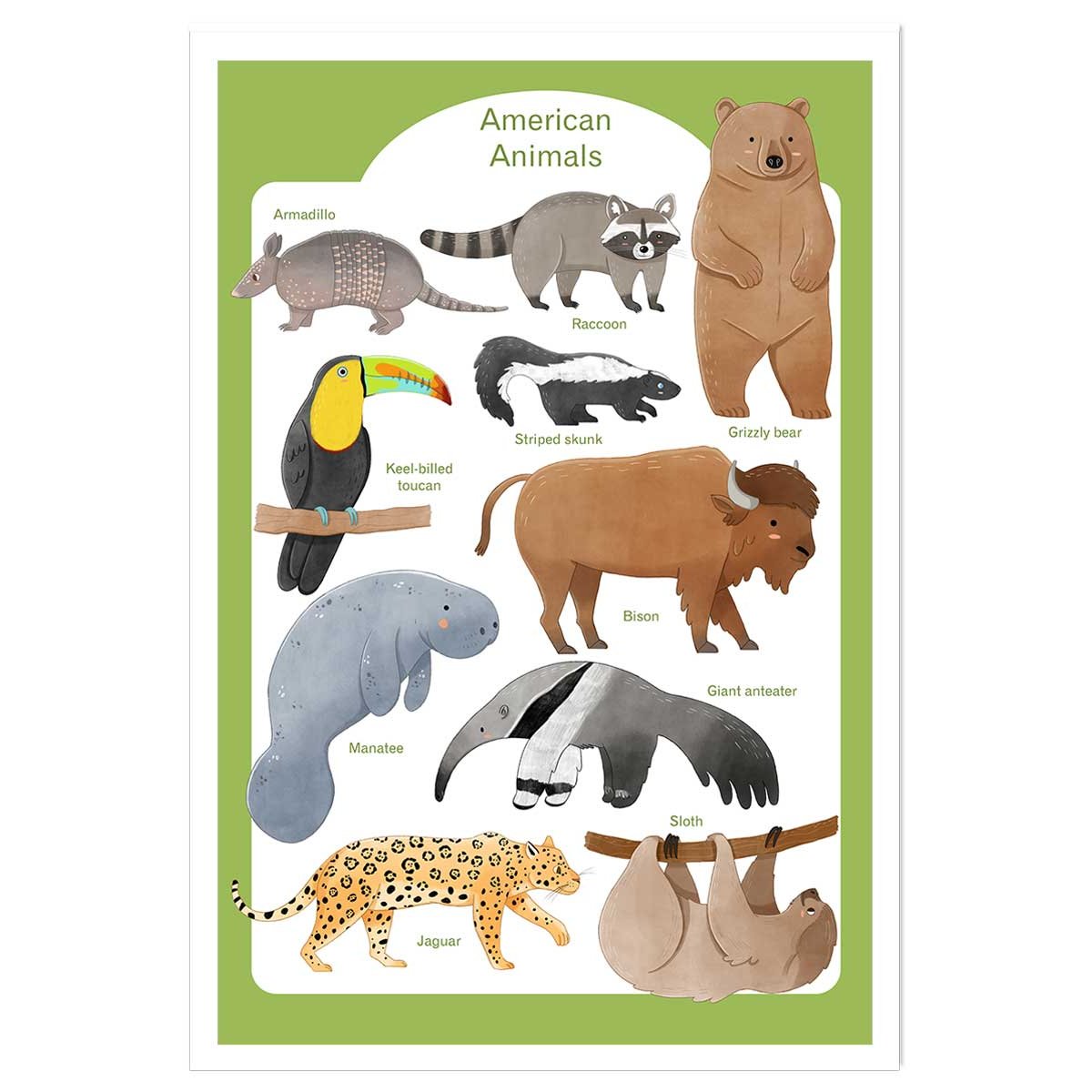 Affiche enfant animaux d'amérique affiche seule, HEXOA