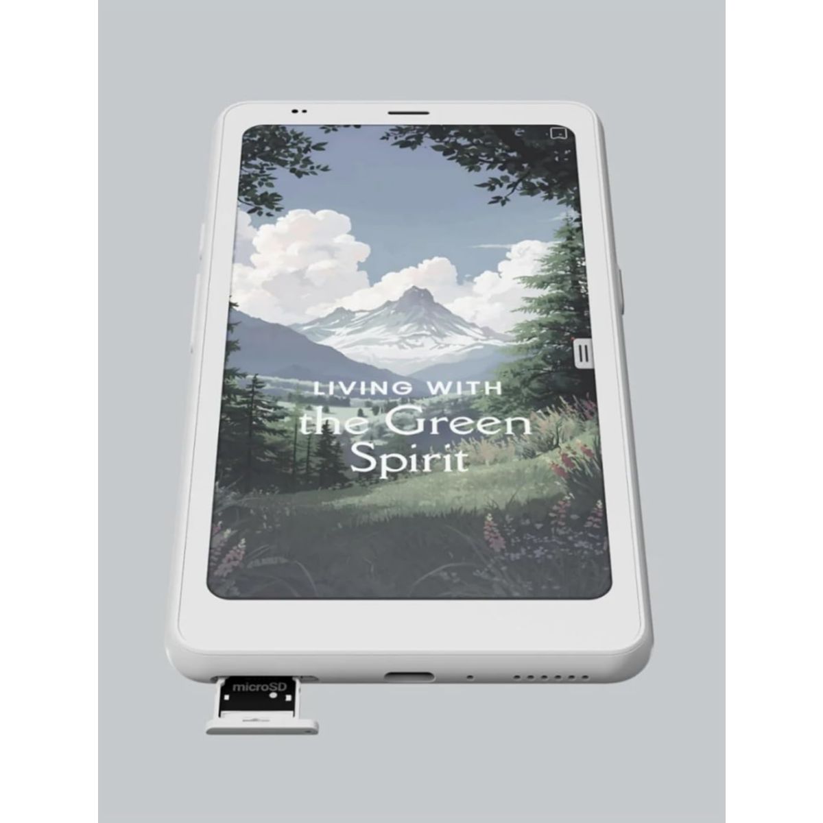 Liseuse eBook Palma 2 Pro blanc couleur unique, BOOX