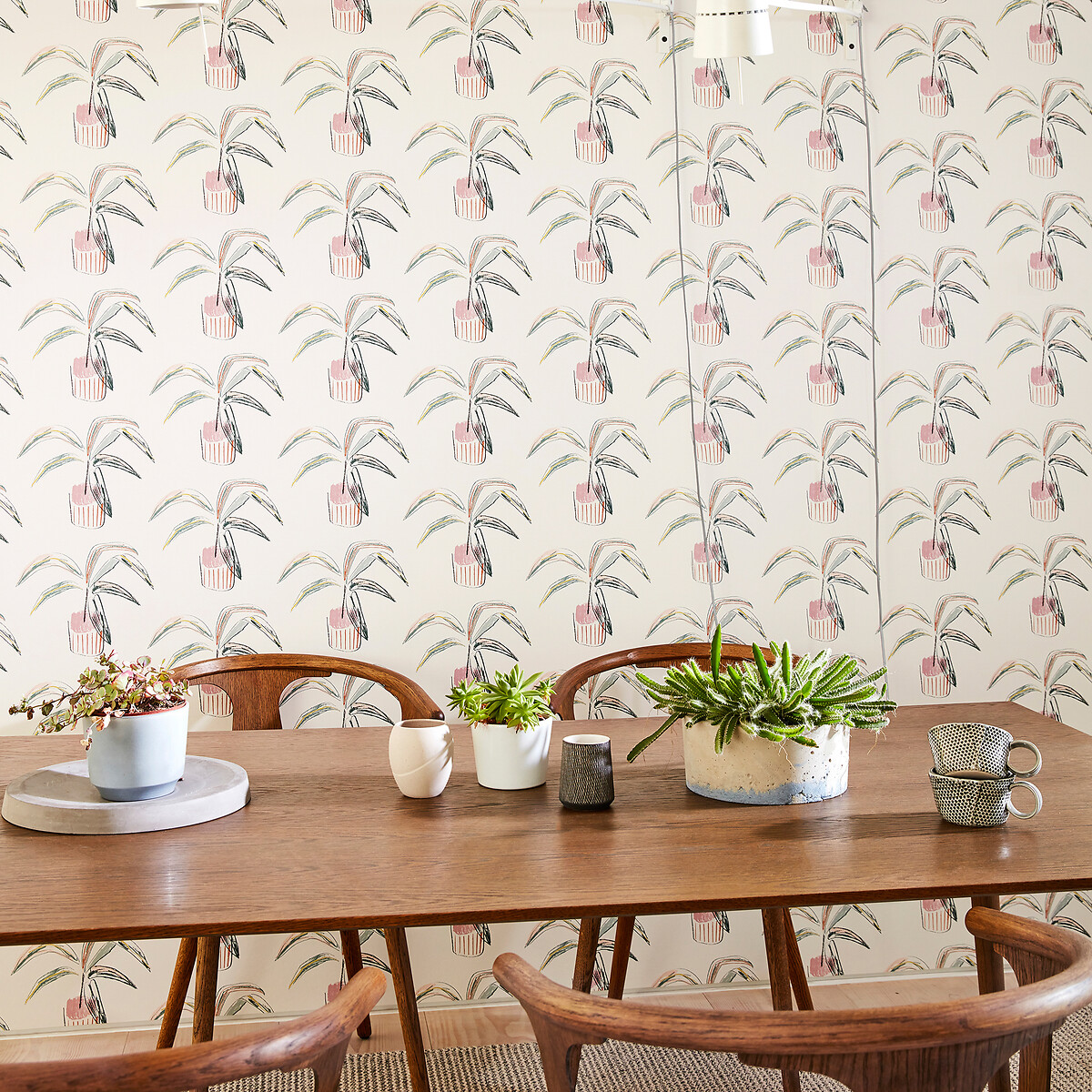 Crassula Wallpaper mint, SCION