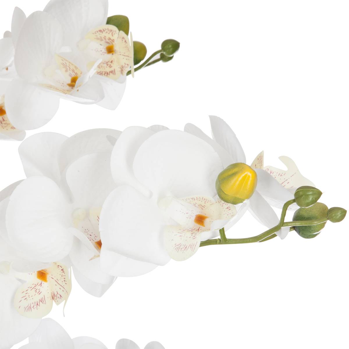 Orchidée artificielle blanc, ATMOSPHERA