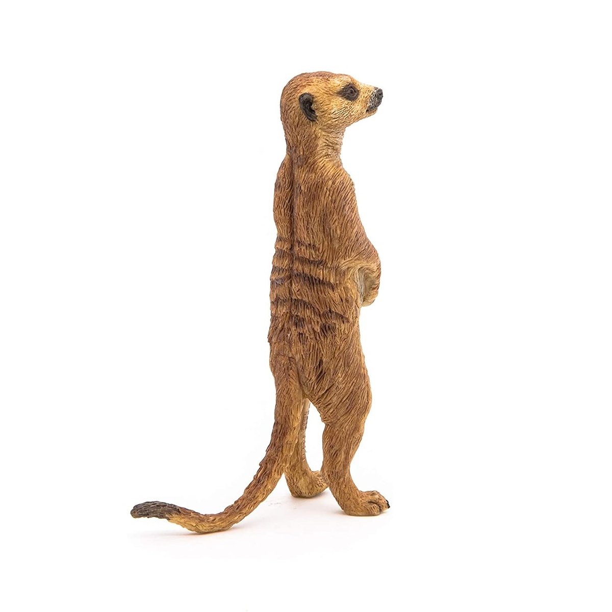 Figurine Suricate debout marron, PAPO