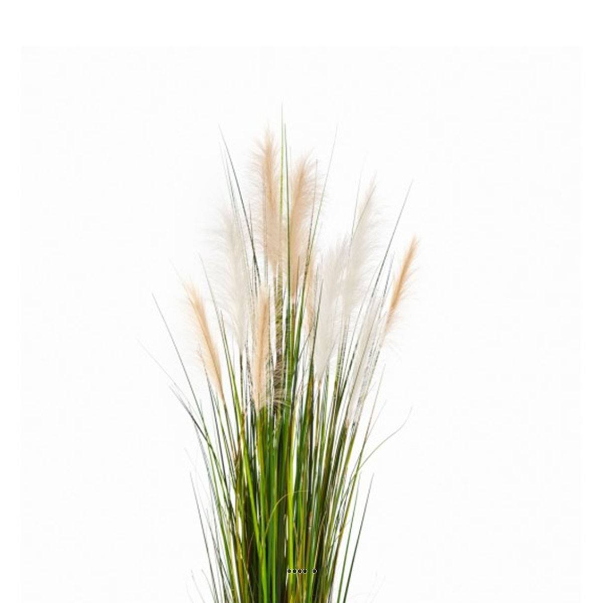 Graminee artificielle creme H 180 cm vert, ARTIFICIELLES
