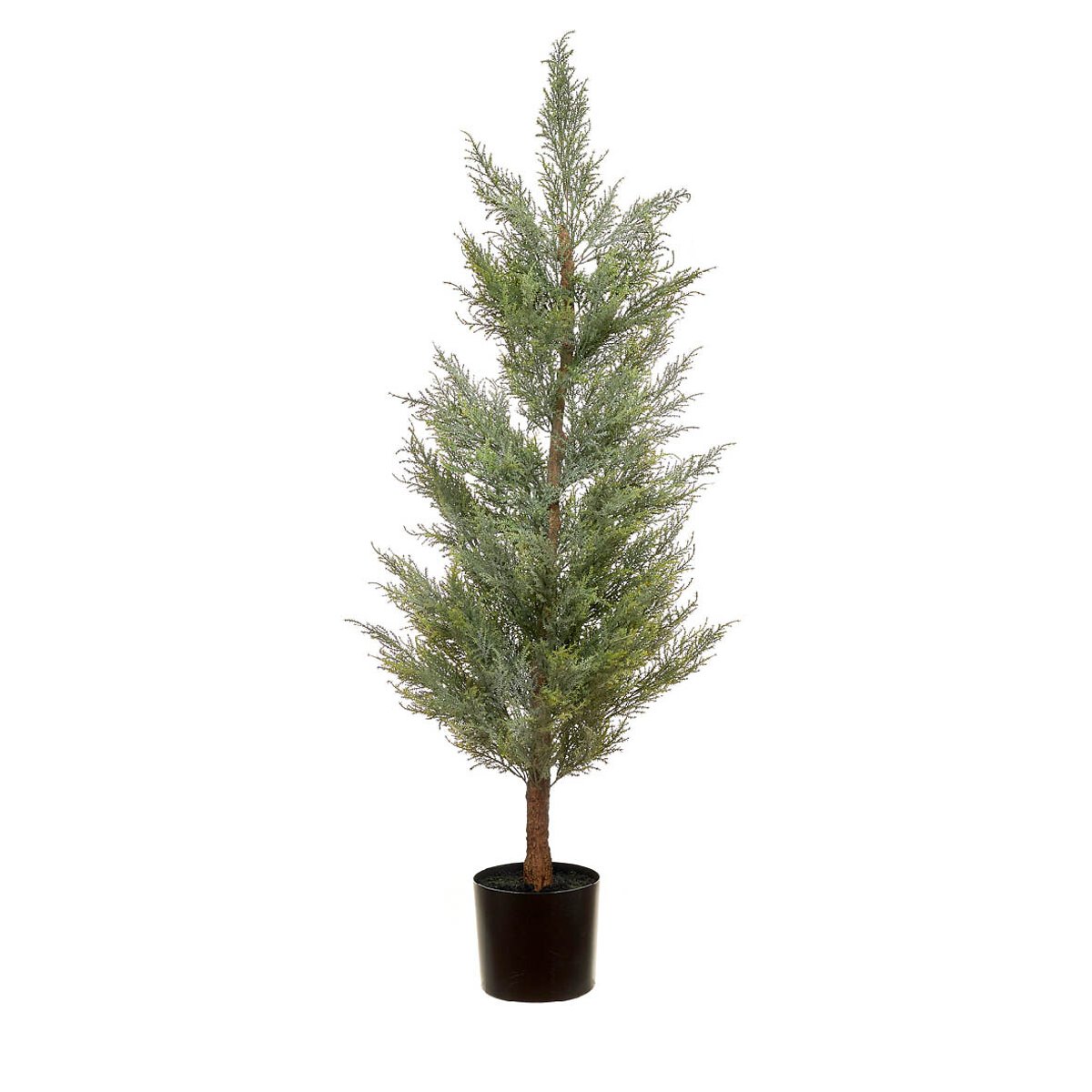 Planta artificial "Cypress" 150cm, BORGHESI verde, BORGHESI