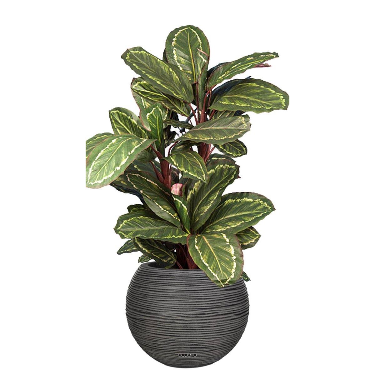 Maranta plante artificielle en pot H 104 cm vert, ARTIFICIELLES
