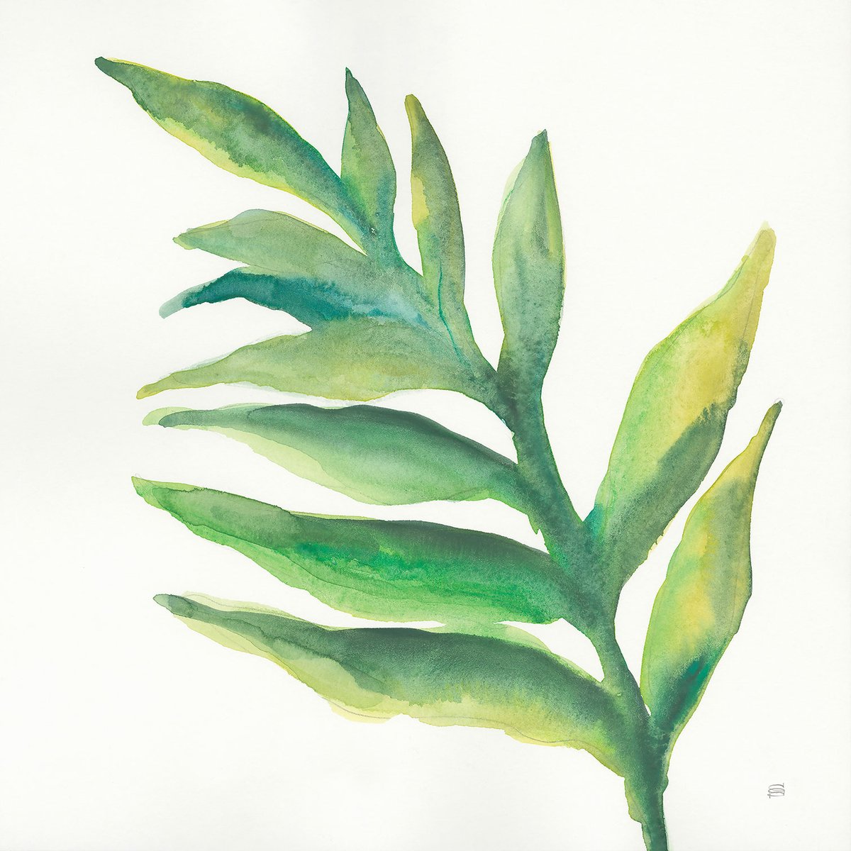 Tableau Plante aloe watercolor tableau alu dibond, HEXOA