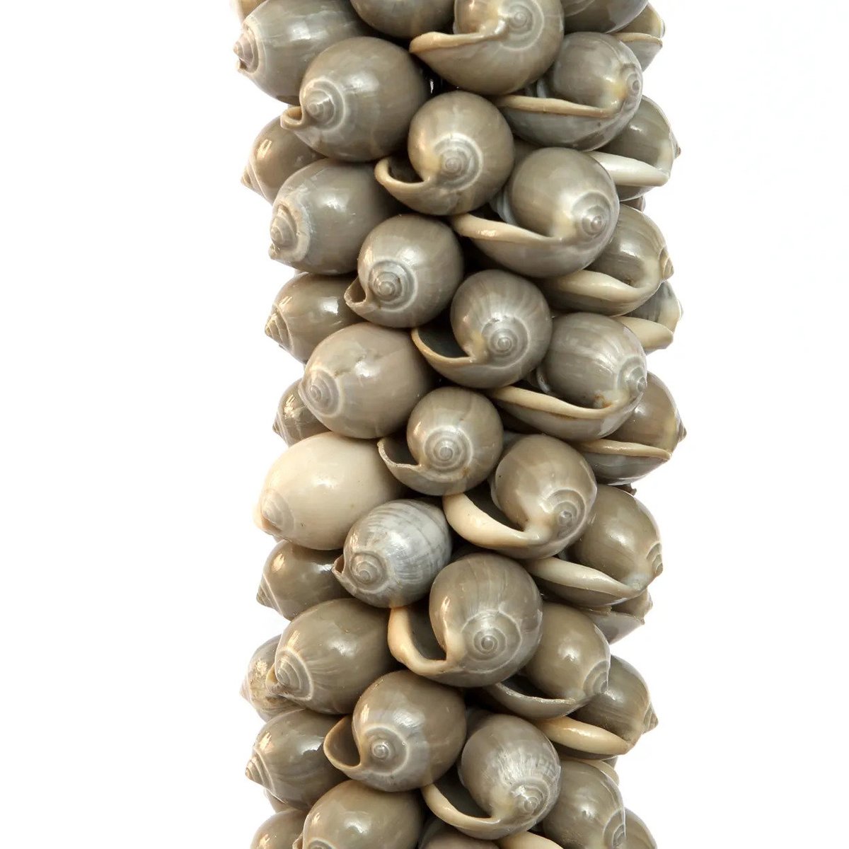 Décoration murale en coquillages SHELL & COTTON gris perle, BAZAR BIZAR