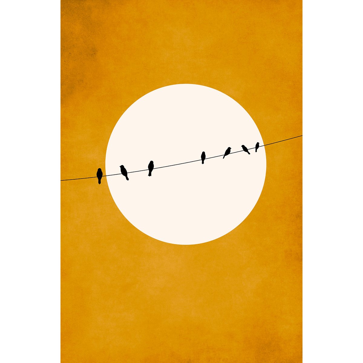Tableau dessin Gazouillis tableau alu dibond, HEXOA