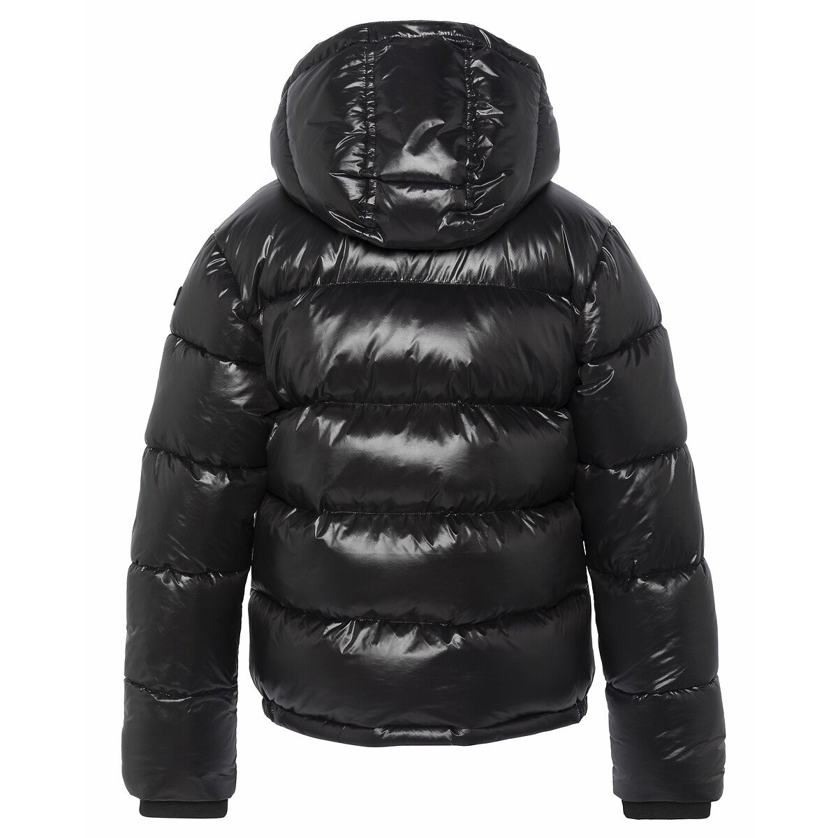 Doudoune brillante à capuche Columbus noir, SCHOTT